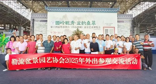 超2萬人打卡！第十四屆粵港澳臺盆景藝術(shù)博覽會(huì)中山黃圃完美收官